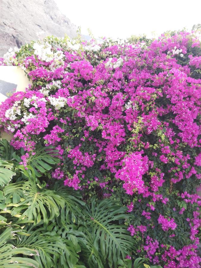 Mi Jardin Dom wakacyjny Jerez de la Frontera