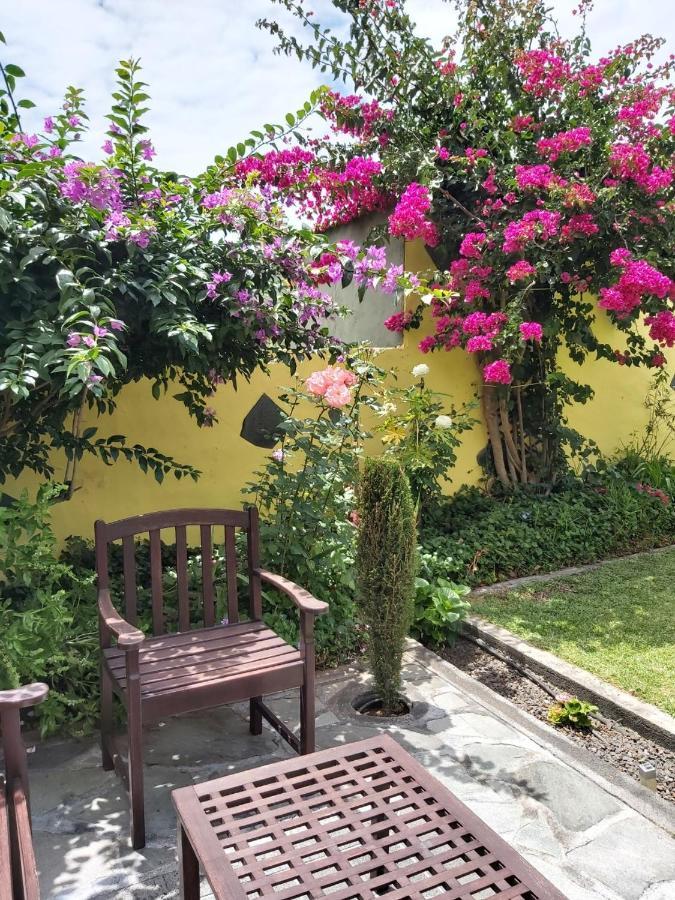 Mi Jardin Dom wakacyjny