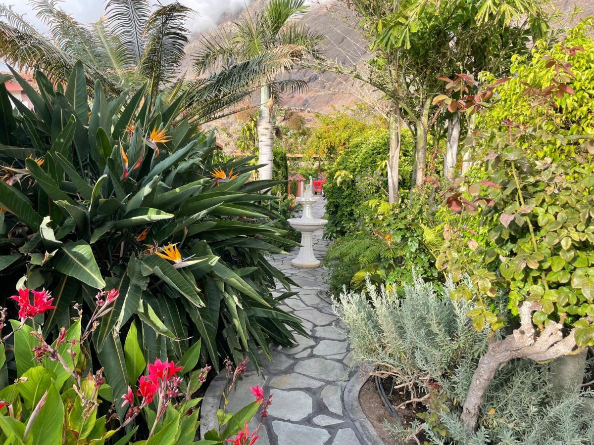 Mi Jardin *