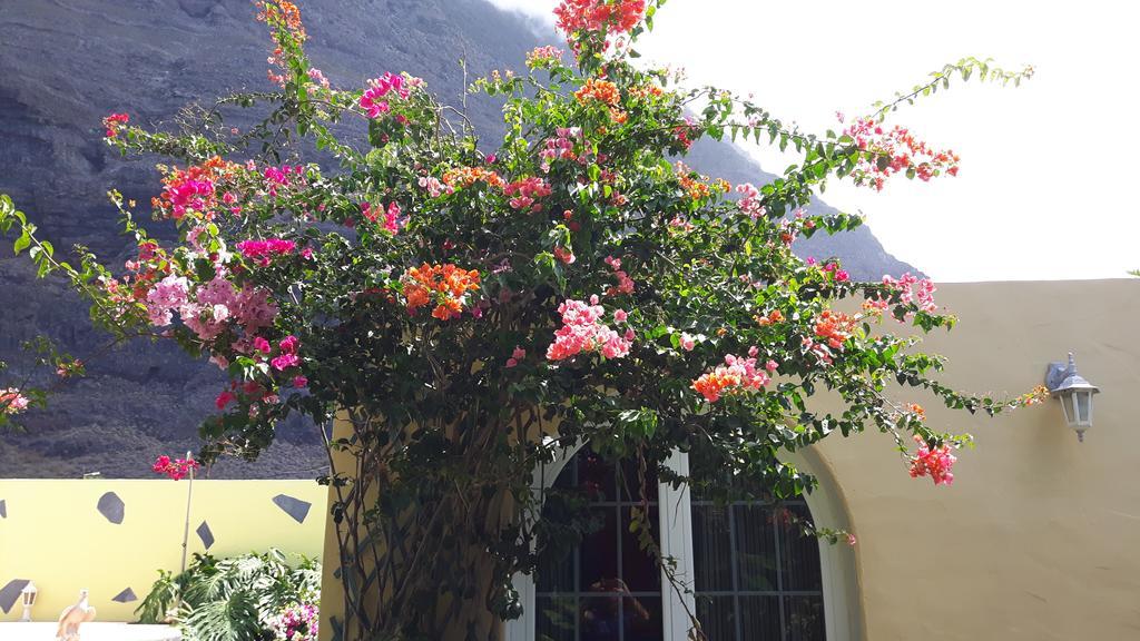 Dom wakacyjny Mi Jardin