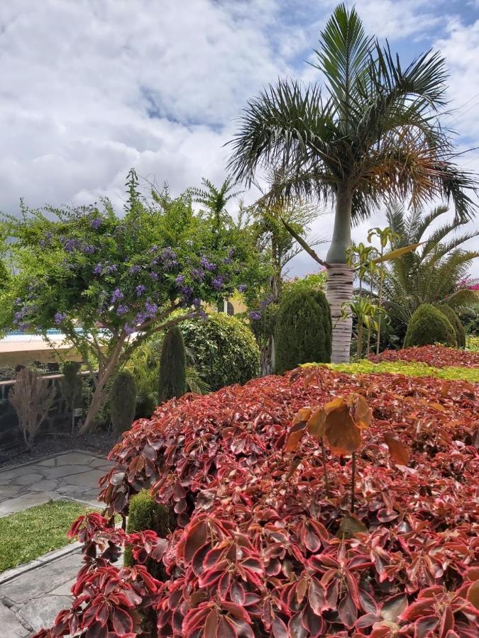 Holiday home Mi Jardin Frontera