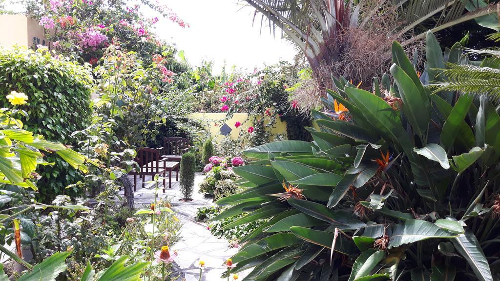Mi Jardin *