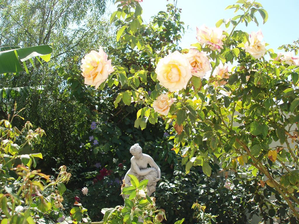 Mi Jardin